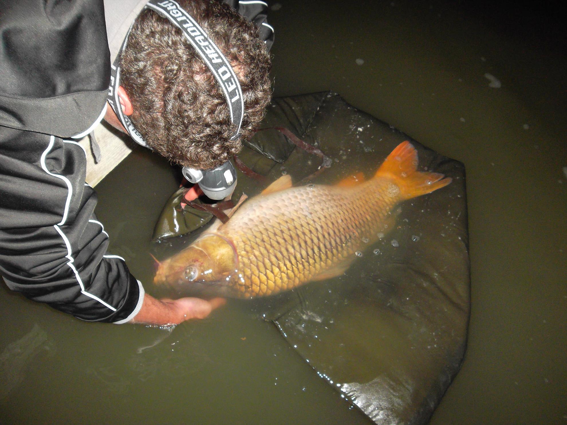 Corbu II 18 - 19 mai 2014 - sam3476.JPG